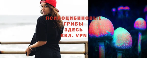 дмт Белоозёрский