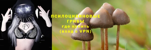 не бодяженный Беломорск